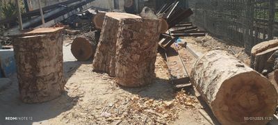 Gosht tonkala sotladi optm donagayam 200$dan