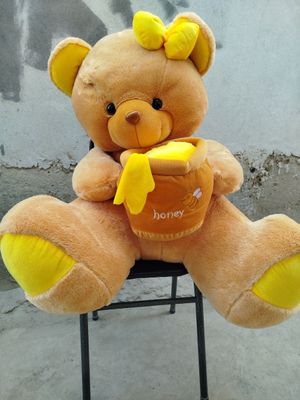 Kotta ayiqchamiz sotiladi