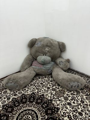 Mishka TEDDY