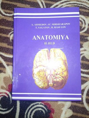 odam. Anatomiyasi