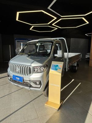 Changan T30 raschrochka