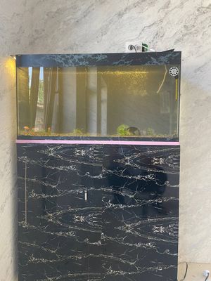 Akvarium sotiladi 120+-litrli tunbasi bilan birga