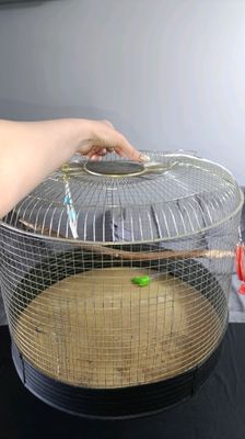 Большая клетка
