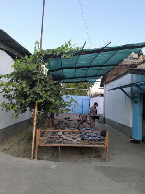Участок в Аккурганском районе