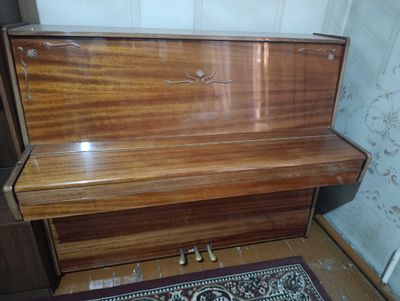 Pionino belarus sotiladi