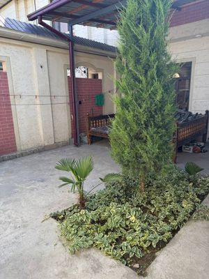 Продается Коттедж в Сергелийском районе, ул.Кумарык, Саватчи Махалля