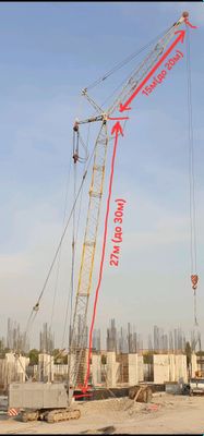 Гусеничный кран РДК-250