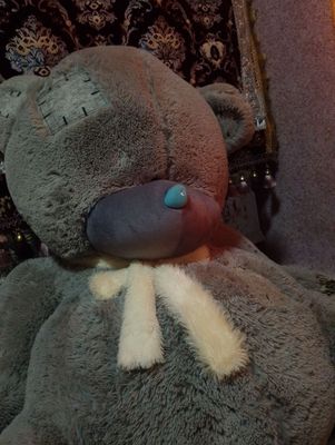 Teddy bear