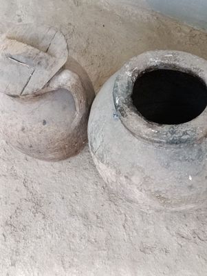 150 yillik humlar