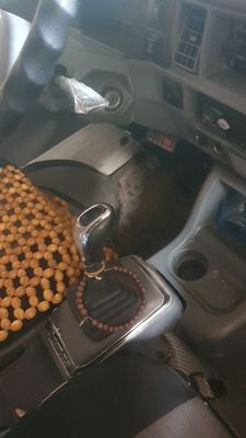 Дамас егадан орг