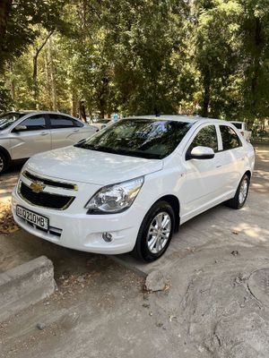 Cobalt AT 2022y. Gazi bor