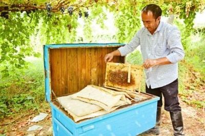 asalari oilasi va komplekt hamma narsasi beriladi