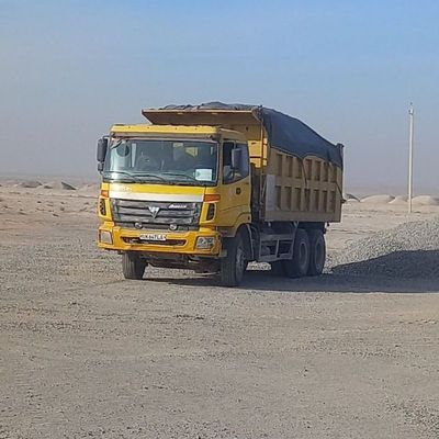Foton auman 2011