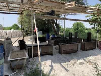 Penablok uskunalari