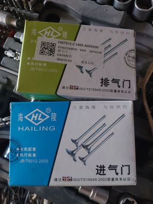 Клапана для Shineray T30