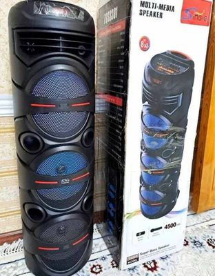 Колонка с микрофоном , пульт и зарядка
