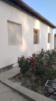 Hovli sotiladi 250m²