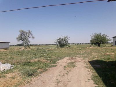 Ер сотилади 32 соток. Янгибозорда (Янги Тошкент)