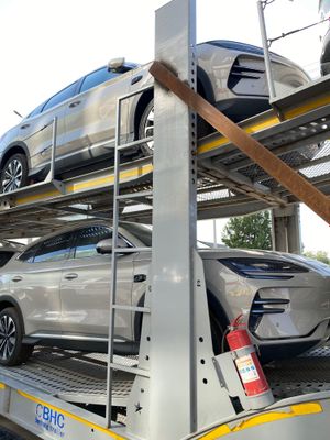 Byd champion smart