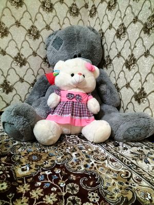 Tedy_ ayiq holati yengi