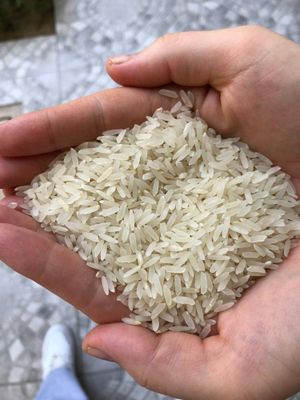 Лазер Рис оптом 20 минг бунда арзони бозорда йо