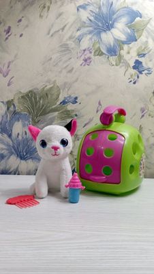 Продаётся маленький котик с переноской.
