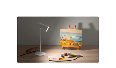 Настольный светильник Xiaomi Flexible Rechargeable Lamp GL
