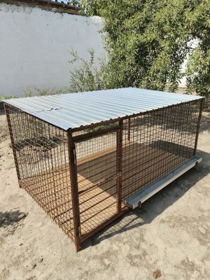 Parrandalar uchun katak