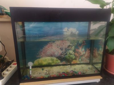 Продам компрессор Sobo sb222 аквариум объем 40 л размер 50*40*20 см