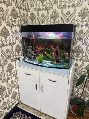 Продается аквариум 120л