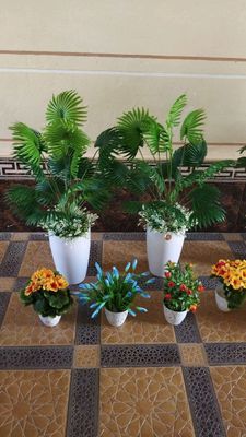decor palma Zilola florika