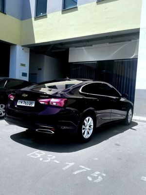 Malibu premier sotiladi