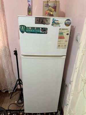 Artel Holodelnik