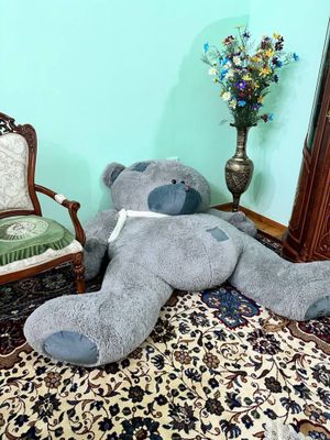 Teddy медведь сотилади