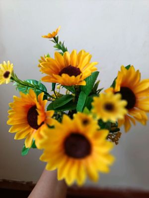 Beauty_Flowers