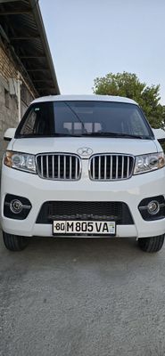 Shineray T30