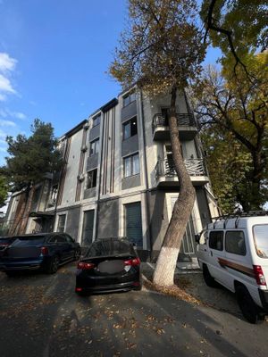 Здание Дархан 460 кв.м