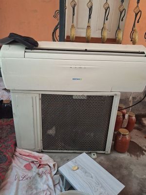 Kaditsaner 18 talik vitu