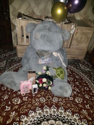 teddy