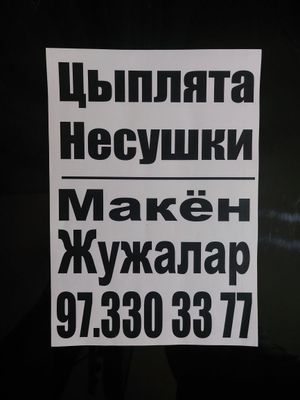 10, 20, 30 кунлик Сертухум Макён жужалари. Цыплята Курочки несушки.
