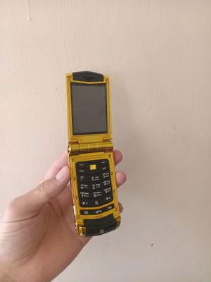 Vertu
