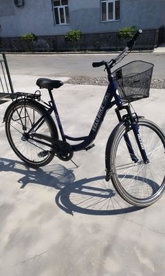 Velaseped sotladi surshnga