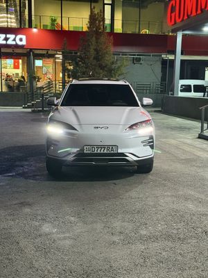 BYD chempion. Smart. 605