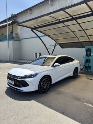 Byd qin l sotiladi
