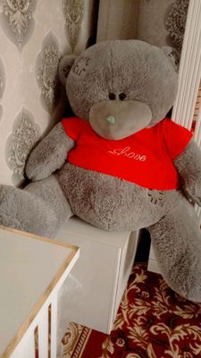 Teddy Ayiq sotiladi