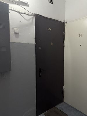Металическая дверь. Толщина 2,5 мм
