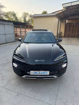 Byd chenpion full 605 бйд ченпион