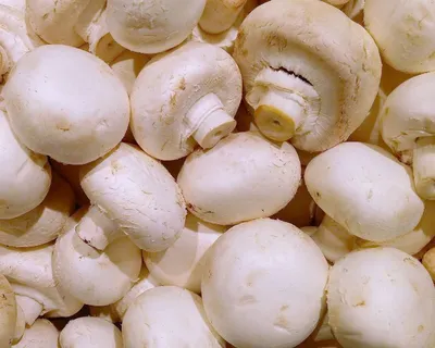 Грибы Шампиньоны
