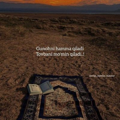 Damas 2024 yıl rangi oq