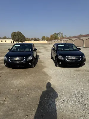 Kobalt 2025 Midnayt Qora Sho’t spravka